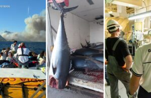 Direzione Marittima Cagliari, il bilancio delle attività nell’anno 2025