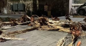 Grossi disagi nell’oristanese, alberi e pali della luce sradicati dal forte vento