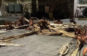 Grossi disagi nell’oristanese, alberi e pali della luce sradicati dal forte vento