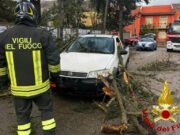 Maltempo in Sardegna, circa 200 interventi dei Vigili del fuoco in 24 ore