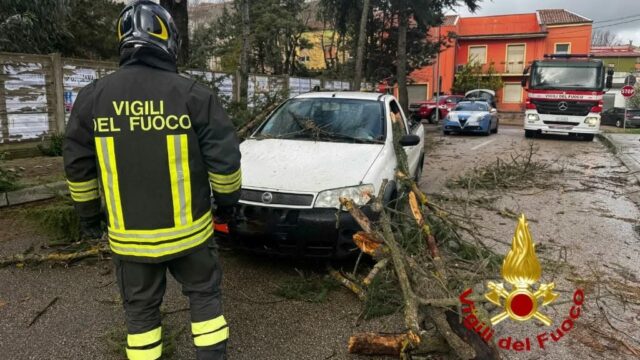 maltempo in sardegna albero caduto