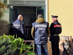 Arbus, carne senza etichette o scaduta: sanzionata un’attività