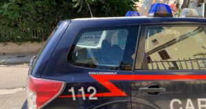 Padru, strage di gatti: arrestato il presunto responsabile | Cittadini in piazza