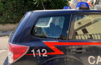 Padru, strage di gatti: arrestato il presunto responsabile | Cittadini in piazza