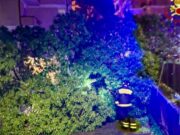 Maltempo in Sardegna, sono 150 gli interventi dei Vigili del fuoco