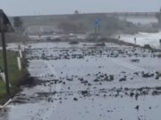 Ciclone Harry, Giorgia Meloni: “Il Governo sosterrà le regioni colpite”