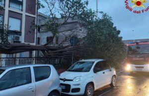 Allerta maltempo in Sardegna: circa 300 interventi di soccorso dei Vigili del fuoco | Video