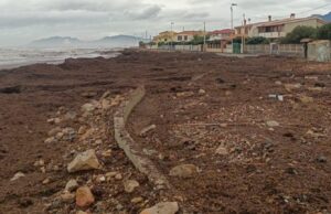 Ciclone Harry, lunedì il Governo dichiarerà lo stato di calamità naturale