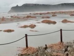 Cagliari, scenario da brividi al Poetto dopo il passaggio del ciclone “Harry” | Video