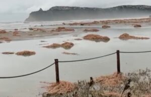 Cagliari, scenario da brividi al Poetto dopo il passaggio del ciclone “Harry” | Video