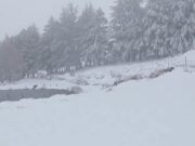 Maltempo e ancora neve in Sardegna, sul Bruncuscpina manto bianco da 15cm