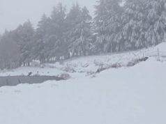Maltempo e ancora neve in Sardegna, sul Bruncuscpina manto bianco da 15cm