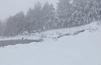 Maltempo e ancora neve in Sardegna, sul Bruncuscpina manto bianco da 15cm