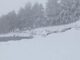 Maltempo e ancora neve in Sardegna, sul Bruncuscpina manto bianco da 15cm