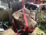 Quartu, grosso masso di granito rimosso dinnanzi alla casa di due anziani