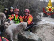 Aggius, tre cani intrappolati in un torrente: salvati dai Vigili del Fuoco