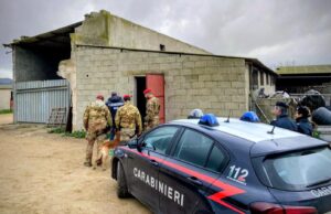 Blitz antidroga a Guasila, grossa quantità di cocaina, marijuana e hashish: 2 arresti