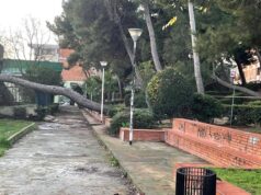 Cagliari, ancora polemica sull’area verde del Cep | Mura: “Promesse mancate”
