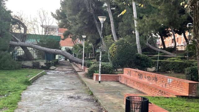 area verde via talete via gioia