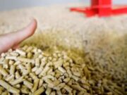 Emergenza pellet in Sardegna, combustile introvabile e prezzi alle stelle