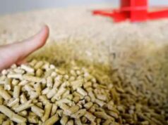 Emergenza pellet in Sardegna, combustile introvabile e prezzi alle stelle