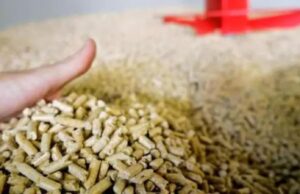 Emergenza pellet in Sardegna, combustile introvabile e prezzi alle stelle