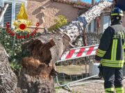 Vento forte nel nord Sardegna: oltre 100 interventi dei Vigili del fuoco