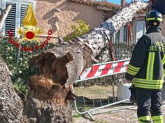 Vento forte nel nord Sardegna: oltre 100 interventi dei Vigili del fuoco