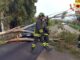 Vento forte nel Sassarese: oltre 60 interventi dei Vigili del fuoco