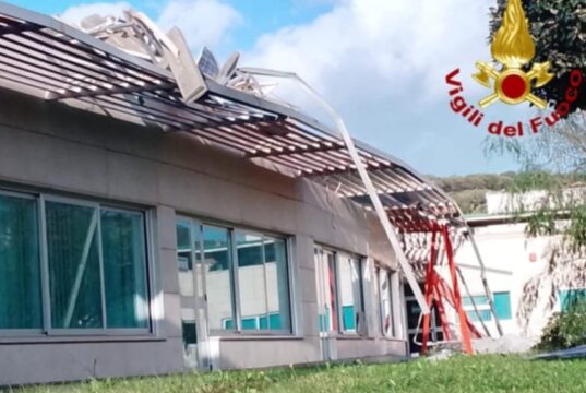 Maltempo in Sardegna: vento forte, alberi crollati e grossi disagi