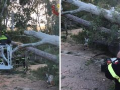 Maltempo e forte vento nel cagliaritano: oggi oltre 100 richieste di soccorso