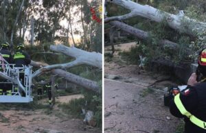 Maltempo e forte vento nel cagliaritano: oggi oltre 100 richieste di soccorso