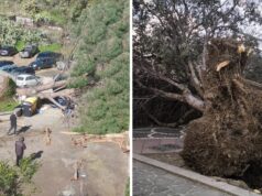 Il Sarrabus falcidiato dal forte vento: gravi danni alle linee elettriche