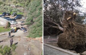 Il Sarrabus falcidiato dal forte vento: gravi danni alle linee elettriche