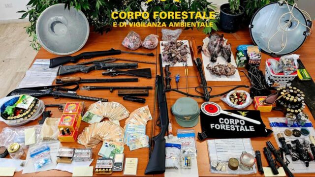 bracconaggio-droga