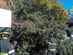Smottamento e albero caduto a Nuoro, chiusa via Segni