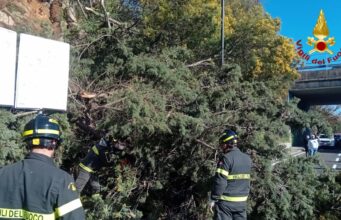 Smottamento e albero caduto a Nuoro, chiusa via Segni