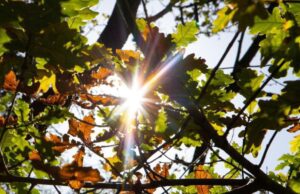 Meteo Sardegna, weekend di tregua con sole e temperature in aumento