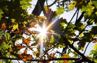 Meteo Sardegna, weekend di tregua con sole e temperature in aumento