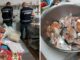 Cagliari, pesce congelato senza tracciabilità: sequestro e sanzioni all’attività