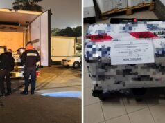 Cagliari, commercio irregolare del pesce: sequestrati 100kg di prodotti ittici