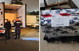 Cagliari, commercio irregolare del pesce: sequestrati 100kg di prodotti ittici