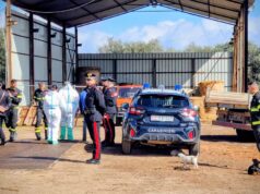 Villacidro, diverse irregolarità in azienda di legnami: denunciato il titolare