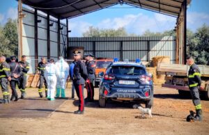 Villacidro, diverse irregolarità in azienda di legnami: denunciato il titolare