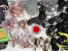 Piazzavano illegalmente reti per uccelli nel Sulcis: denunciati quattro braconieri