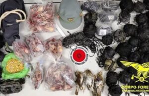 Piazzavano illegalmente reti per uccelli nel Sulcis: denunciati quattro bracconieri