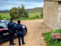Maracalagonis, bunker della droga in azienda agricola: arrestato 25enne