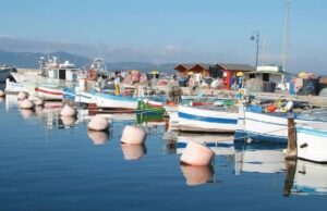 Pesca tradizionale, accordo a Golfo Aranci per il futuro del settore