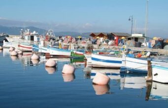 Pesca tradizionale, accordo a Golfo Aranci per il futuro del settore