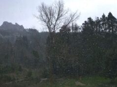 Freddo e forte vento in Sardegna: sul monte Limbara torna anche la neve